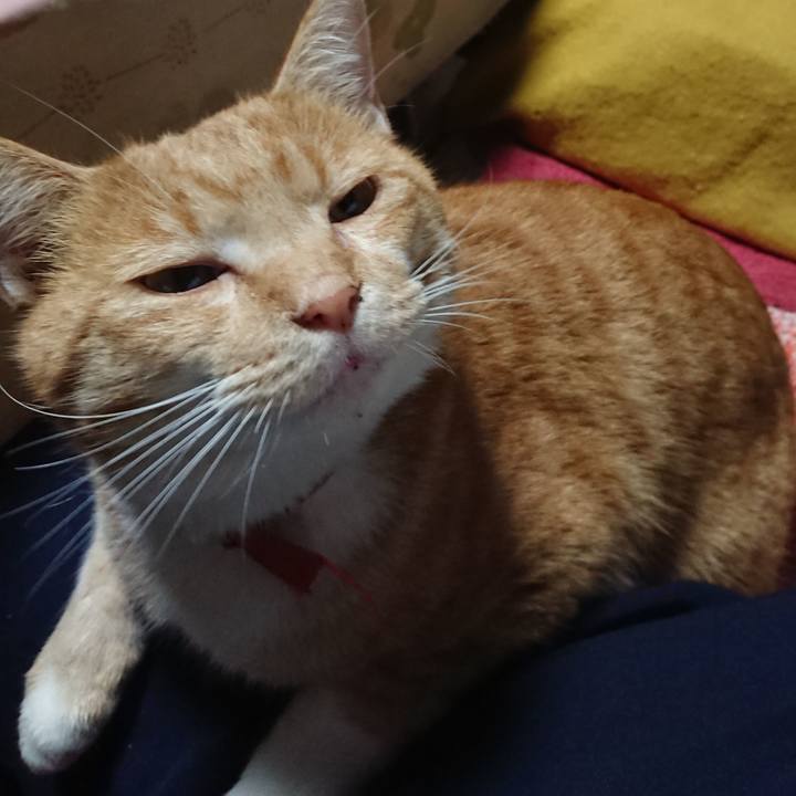 3ebb393a 0dd8 4897 ba33 e4800d0983a4 1572470961289