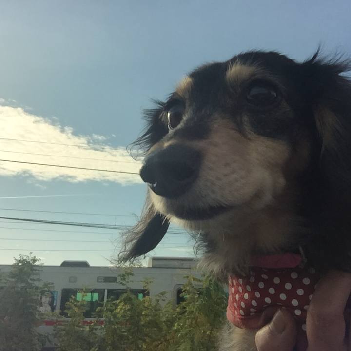 3ebb54cb 1897 445a 8717 8ed7c8a59b71 1543969604875