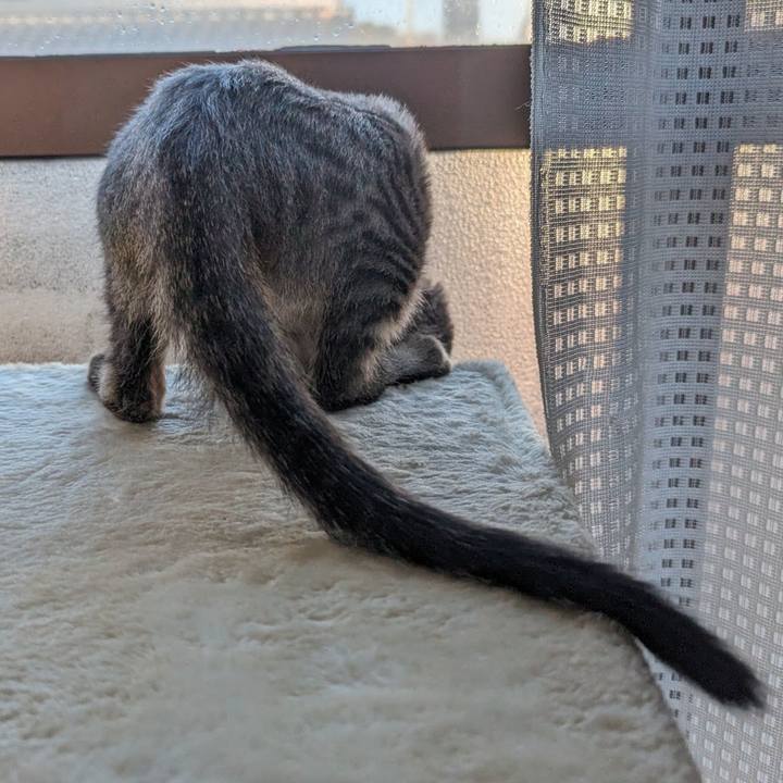 3ebb5ac2 750f 415b be3e 75630d46d488 1707714566920