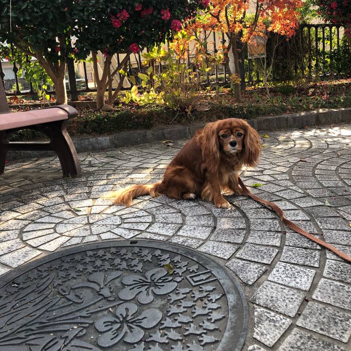 3ebb5ff0 de49 473c aa03 5c2b7159c230 1639607535877