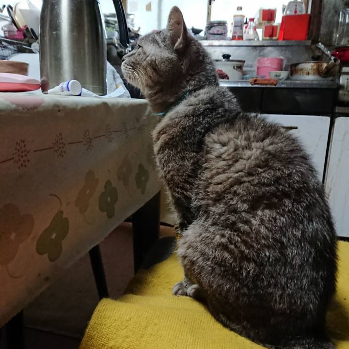 3ebb654a 7c8c 40cf 880d c23348c9d47c 1570654961606