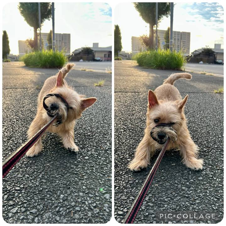 3ebb68d1 301a 468e 9a91 d34b6df909a4 1728982674593