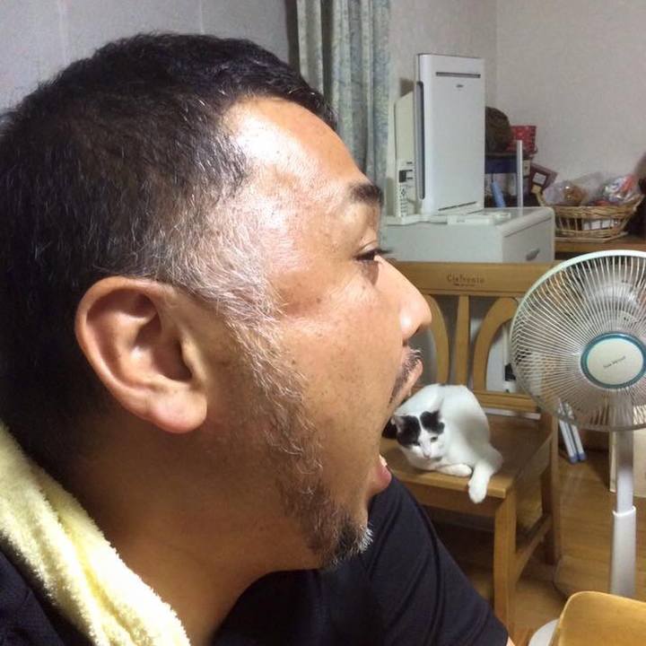 3ebb94f8 2e35 435d a5fe 73dfcede8696 1533133394706