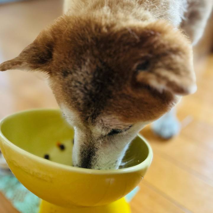 3ebba5ba fb86 422c a989 b8d644cc3527 1758945096555