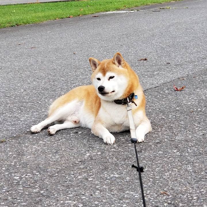 3ebc01f0 db76 4a62 acb8 195279f1ae80 1631430927041