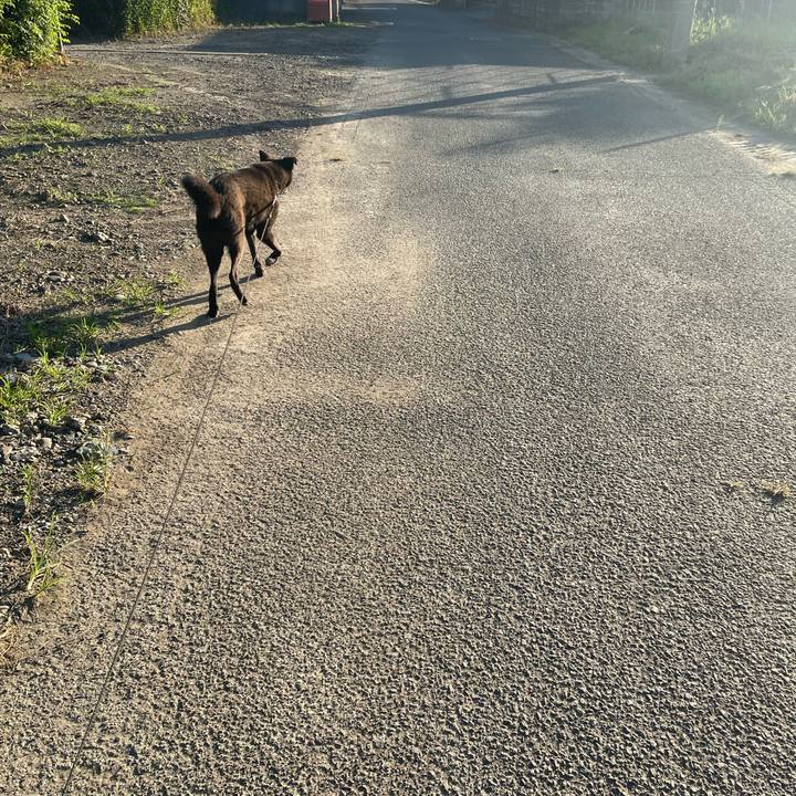 3ebc03a6 acf2 4efb 852b 9e530f675f01 1693603365627