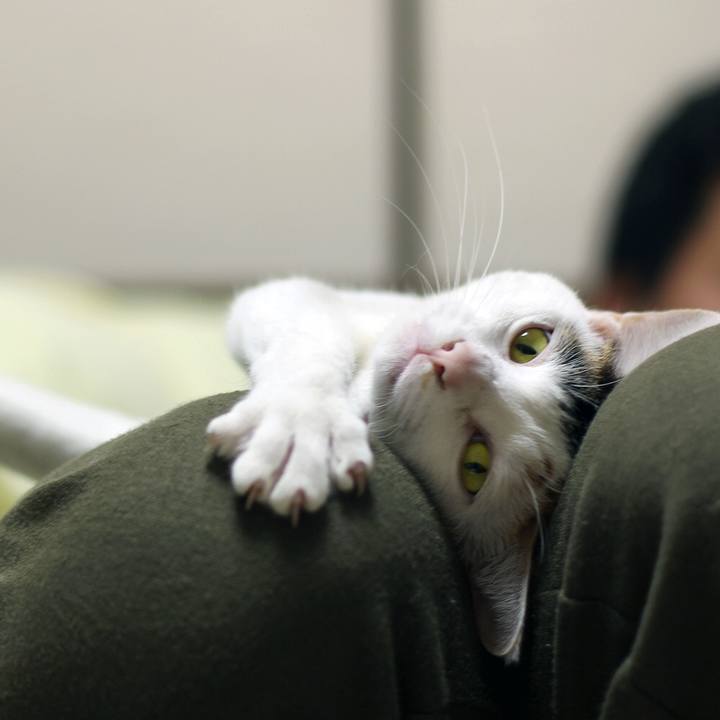 3ebc6fbb 5c32 46c7 9ddf b39f82c12339 1581984932434