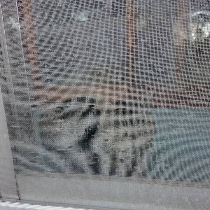 3ebc8dbc 3b41 4dc9 9ae4 bf69211003e1 1559126468046