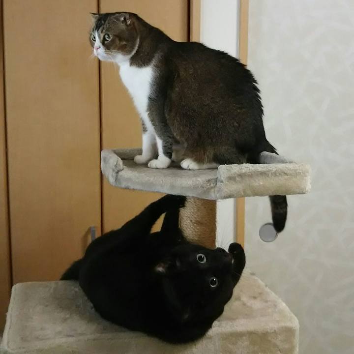 3ebce1f2 6d97 4560 84dd 405928c26d7b 1538959017268