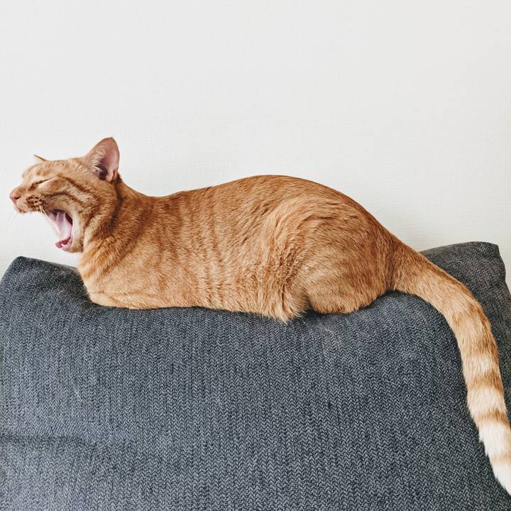 3ebd0dec 62ee 4f1f 8d3e 98b72102365d 1625907849017