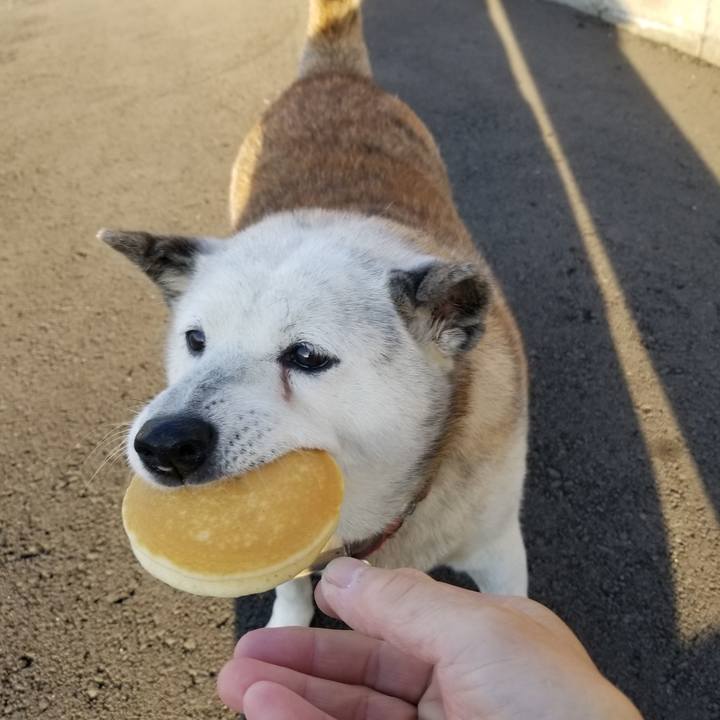 3ebd3636 0d9b 4d6d b7a5 6df302286d8d 1730326342150