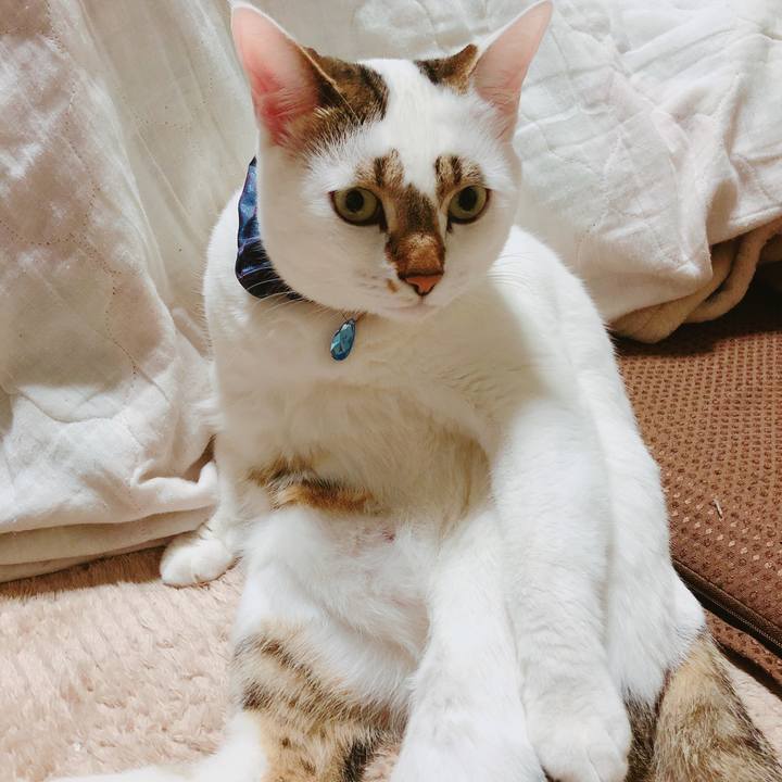 3ebd7cfd 1e82 480e af8f 785a1287702f 1515080211181