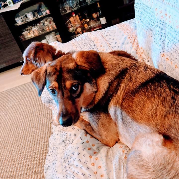 3ebdbaee ff72 470a a9e4 595e869f3b96 1717210982171