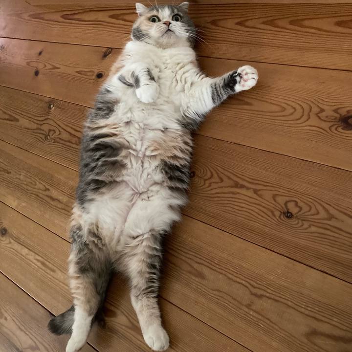 3ebdbcb5 cf5a 40e1 b7ec 6ebf3d450875 1645432881383