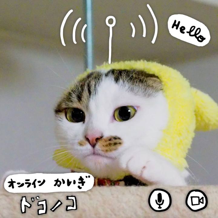 3ebdbe47 065b 438f b621 da1c91fd6d5c 1590728333611