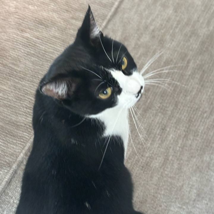 3ebdf213 5544 472d abf0 bad900e6c745 1756949699823