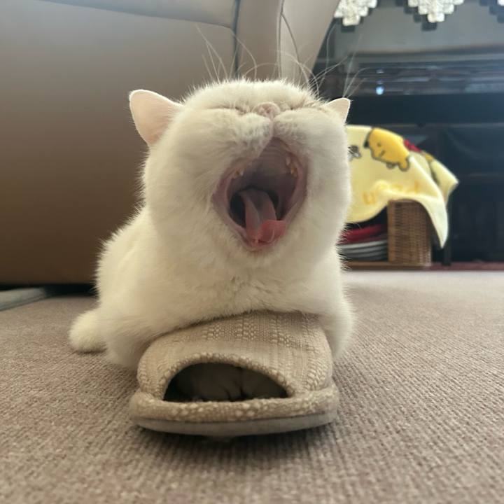 3ebe2417 0880 4eb6 85bf f10b1fb80db1 1696560613742