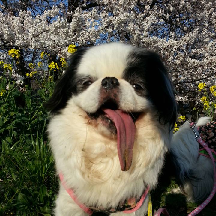 3ebe9466 6c6a 4a5b 8dee 3052c392c3f1 1522148949302