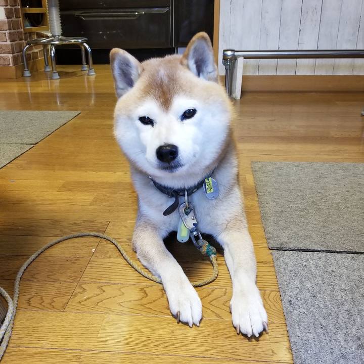 3ebeaaa9 71ff 4838 8381 f7003117616e 1668915831771