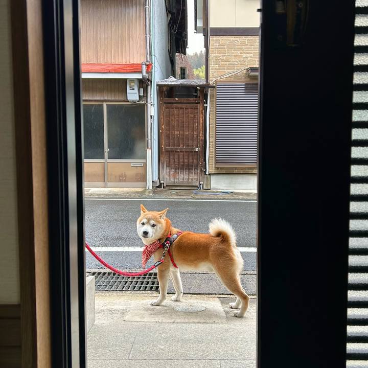 3ebf1792 a653 4c88 88a3 516d7f90bf85 1708515055441