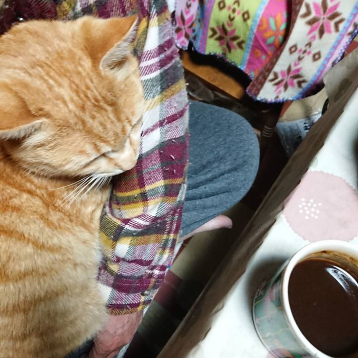 3ebf1a7c ce53 4e29 a6cc ed84eef329ac 1585427240734