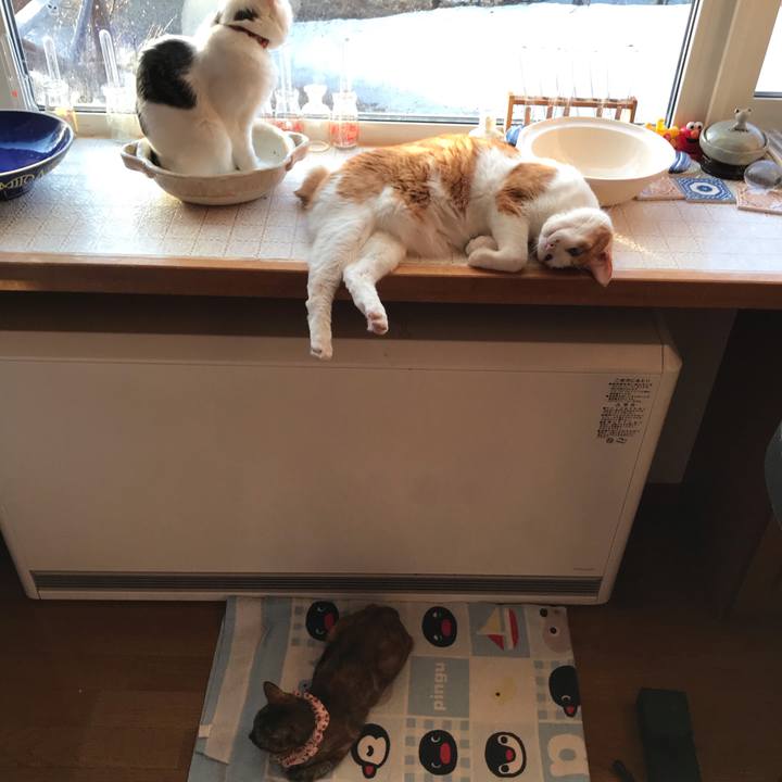 3ebf73c8 e05f 4294 ab25 4b6fec343382 1616447674710