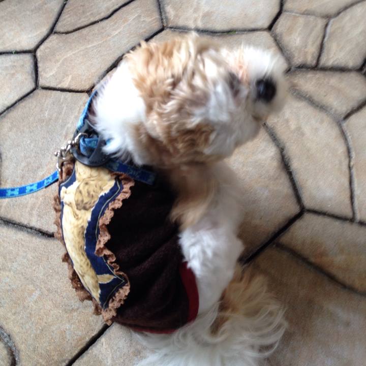 3ebf8168 e55c 444a 899f b7129936249f 1509313049714