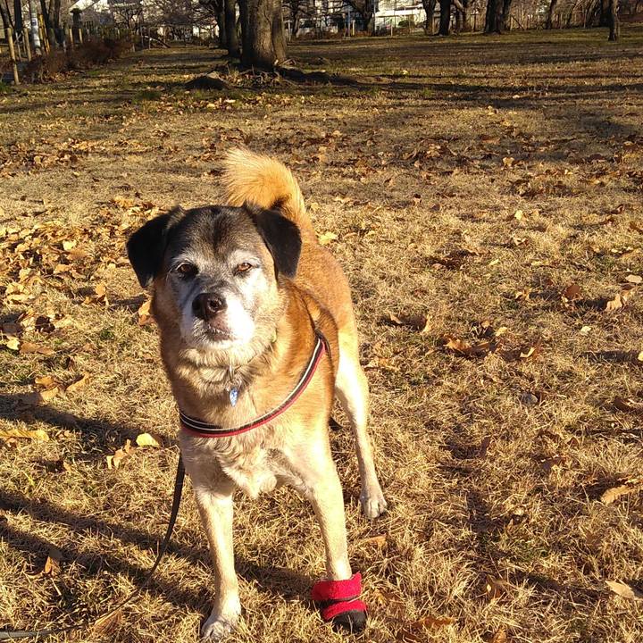 3ebf884a 87db 4fb5 ad3e ac46de9296c3 1546993858640