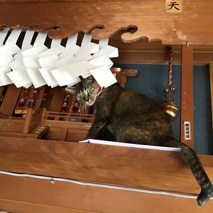 3ebfe9a9 39d6 47f3 a83f 403667eb4c87 1606793894897