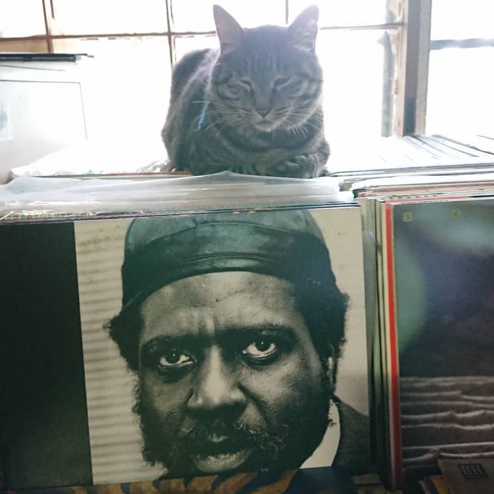 3ebff4a3 534a 4155 a224 056be779d602 1658094145745