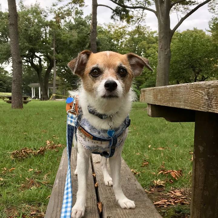 3ec0187c f614 4e67 831b 85881947b5ca 1568448908474