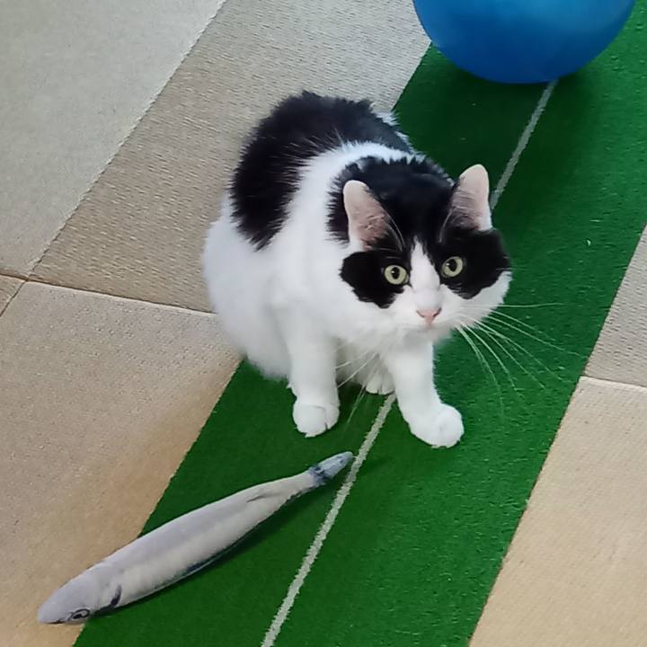 3ec05009 dcc0 4069 9fb2 d29444d2c7c7 1618354460405