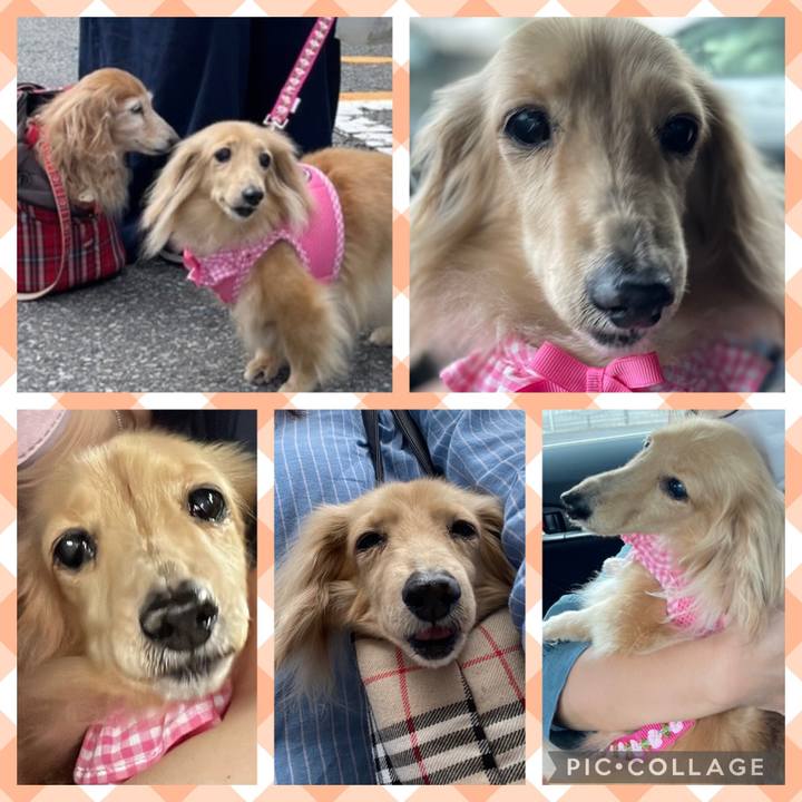 3ec05346 df8d 4938 9eb4 796e12a2912e 1658234144166