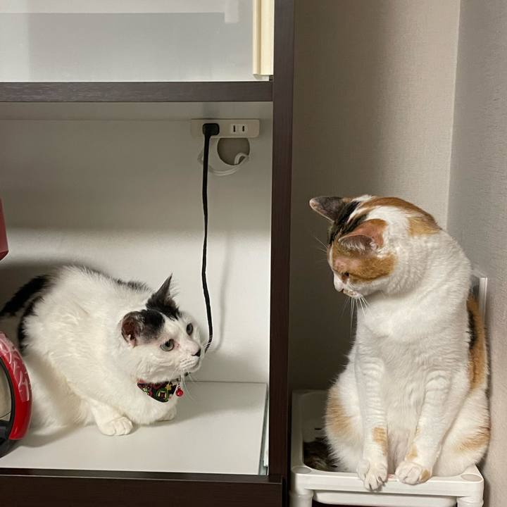 3ec059d2 63f0 4f82 b0e0 d65a07961b9c 1654609236510