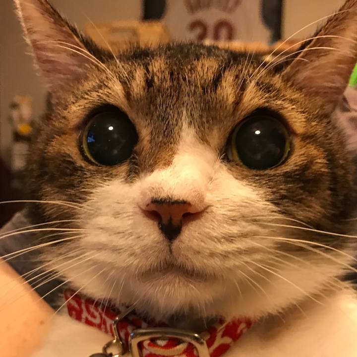 3ec0a8dc c47c 4e1b 84ec 24e2db4483dd 1557630949801