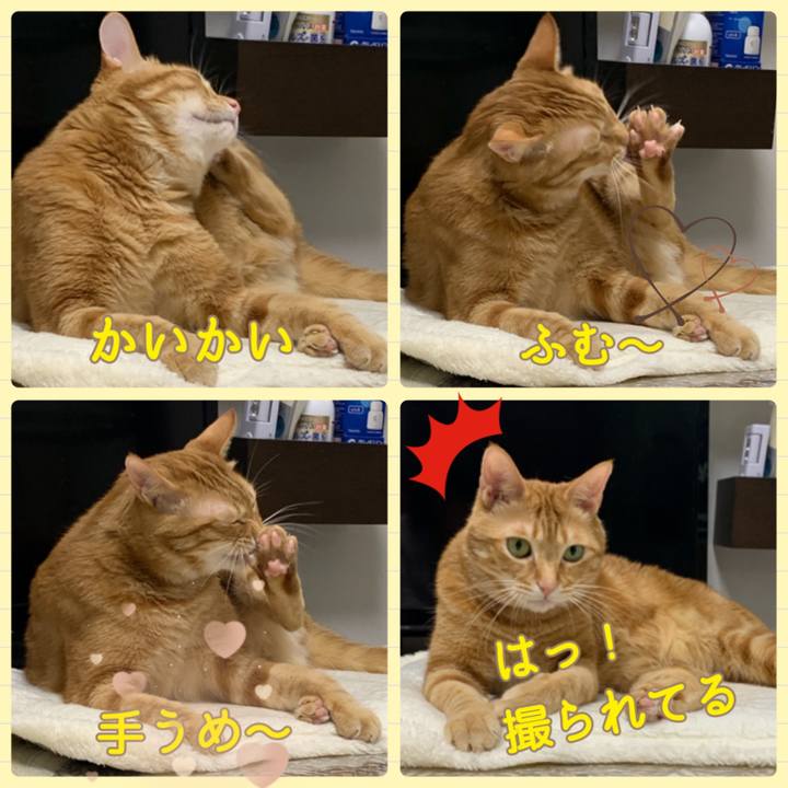 3ec1155a 5a77 4ea5 b858 5717aef25b90 1613687348072