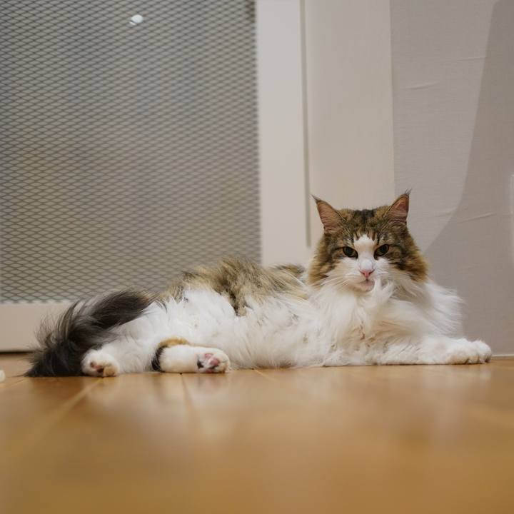 3ec11f22 4b98 454b a2d3 649edac64a42 1694862167661