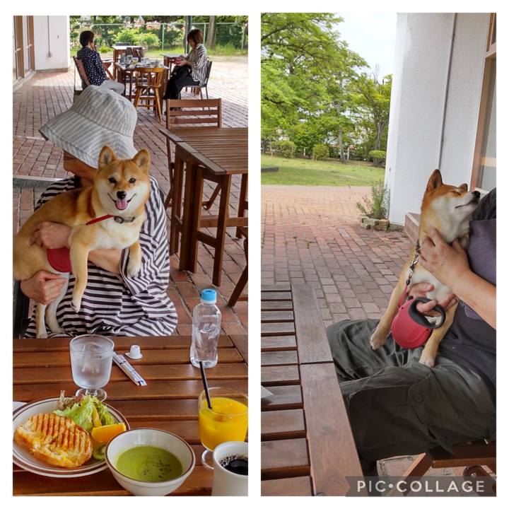 3ec1436f 2304 46c9 967c 7a0920e2bcc4 1685308460272