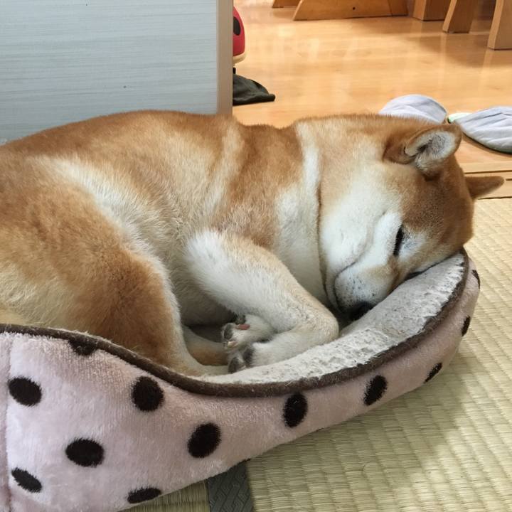 3ec16363 ddda 4c6c 9c79 a2442d96b86a 1540171036935