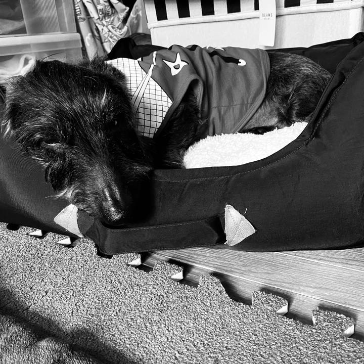 3ec16861 c321 45ef b4ef c5d65d7a3469 1582391933120