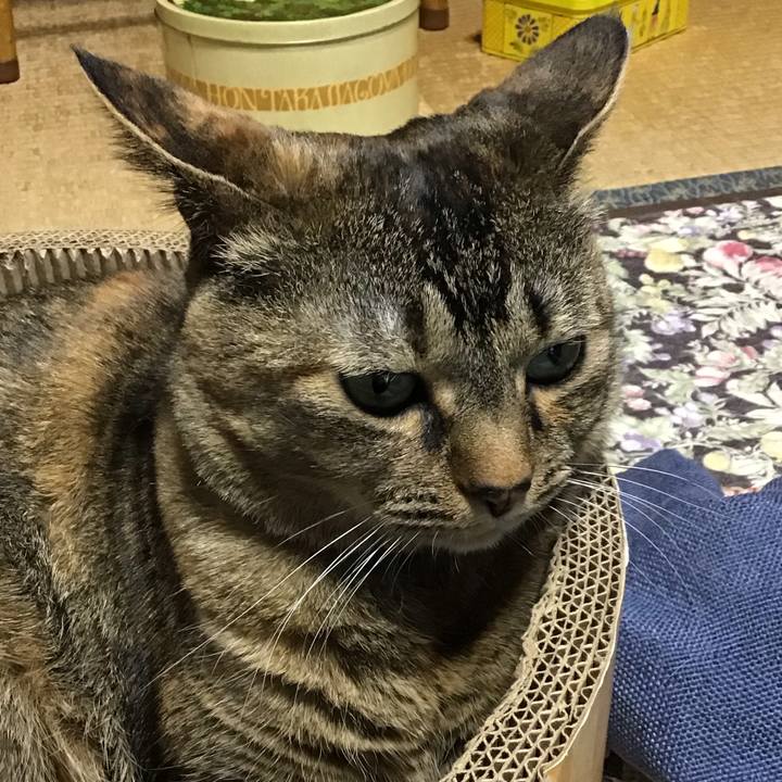 3ec176a2 294b 48ac a719 a894b9b8fb06 1747450600085