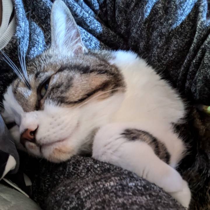 3ec1a793 2ac8 4ca1 9ca3 f619f8293093 1732413385462