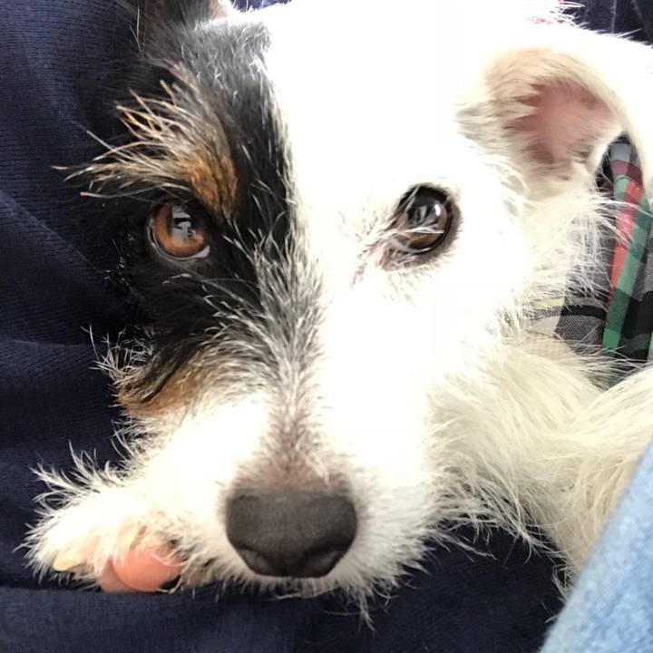 3ec1a7c6 a12c 4b67 982e a57eaf555ad0 1509413708008