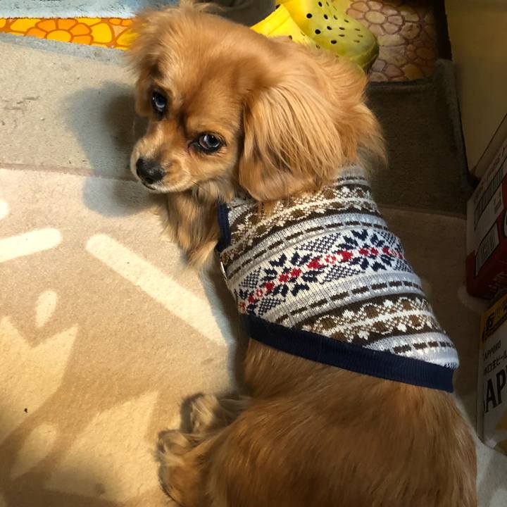 3ec1baaf 278b 41d1 8ac9 5ae1c16ad191 1517096210426