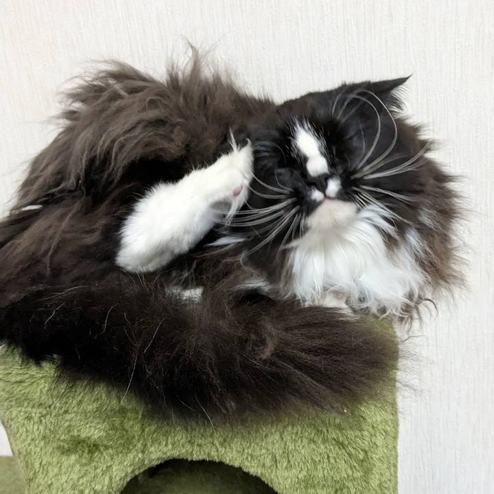 3ec2217d ad48 4690 b75f 3c3547641903 1671795648567