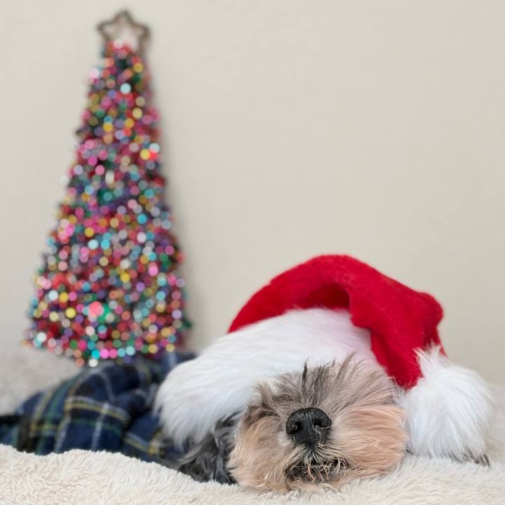 3ec2351c 0a23 4d5e ac9b 18ed140bb406 1766629086314