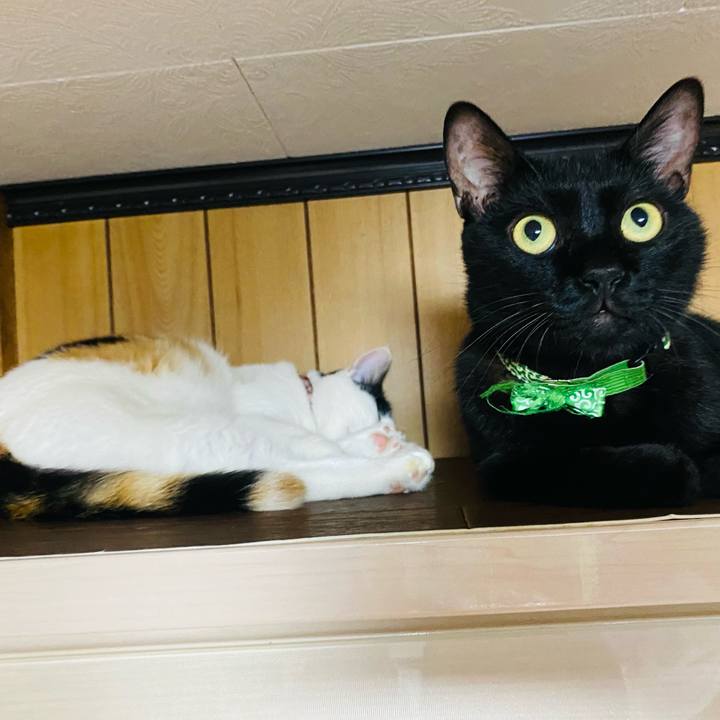 3ec24c37 8646 4d46 8dbe 532496faf521 1663428034177