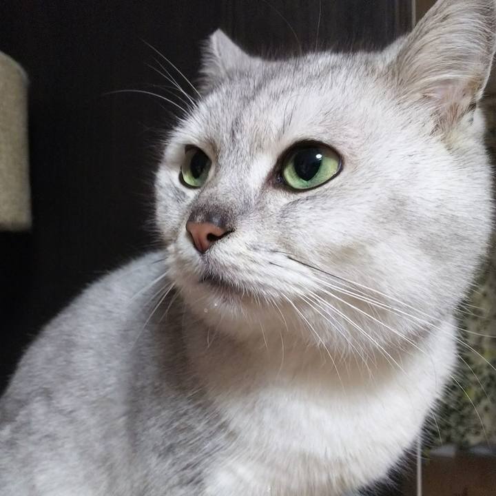 3ec2bea0 8373 439b b304 2bc205b817b6 1514126226734