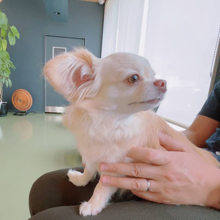 3ec2bfa9 8356 4f5d 8580 21cf5f108107 1751089794650