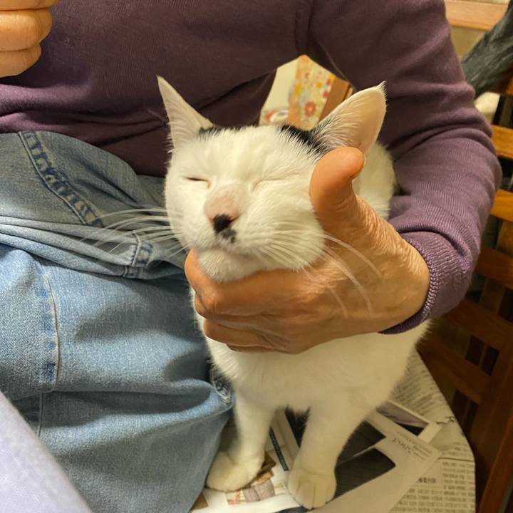 3ec302d8 31ba 4733 ac39 b1c52e9ede2f 1615461979923